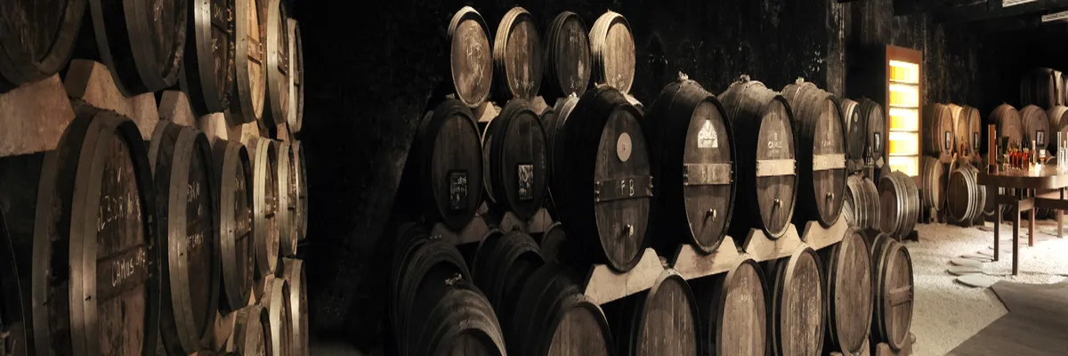 Image Installation borne de recharge Cognac