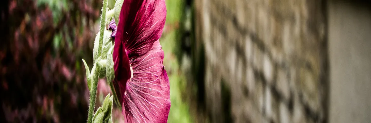 Image Installation borne de recharge Éragny