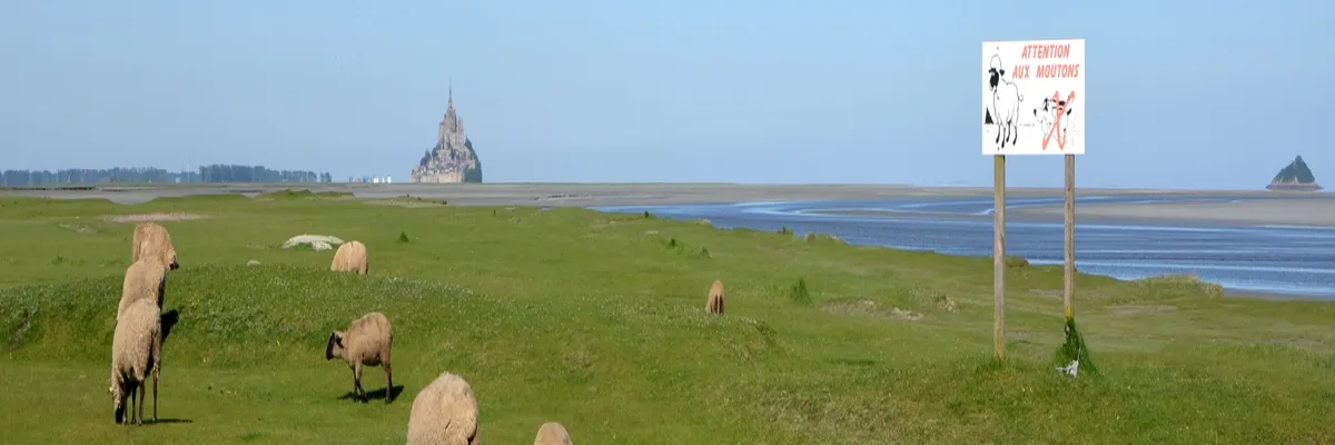 Image Installation borne de recharge Manche