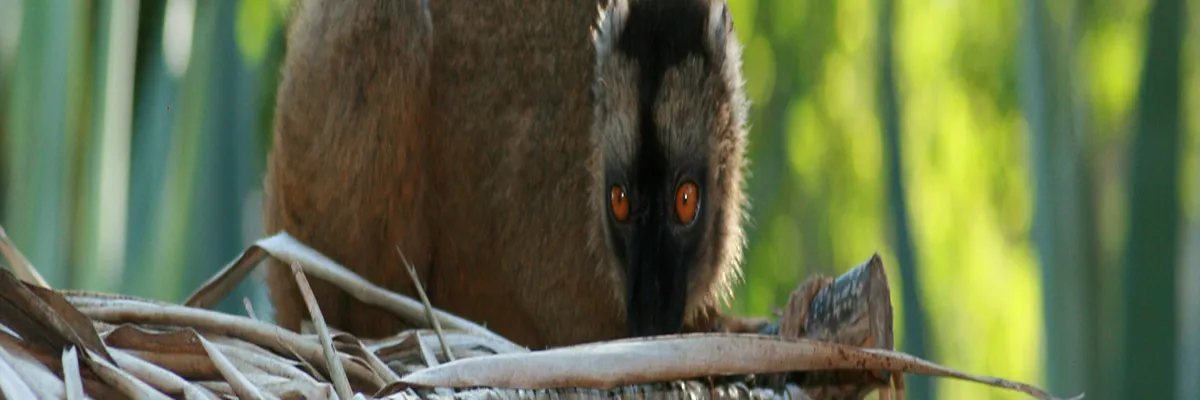 Image Installation borne de recharge Mayotte