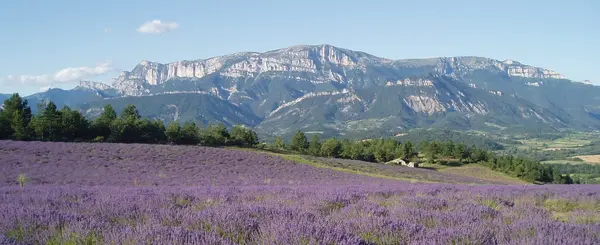 Borne de Recharge Auto Installation borne de recharge Drôme