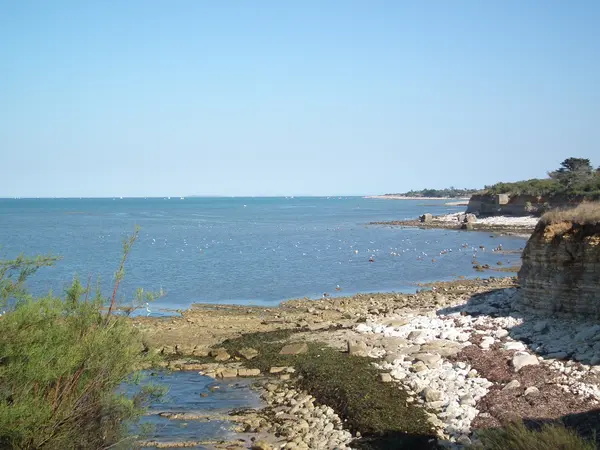 Borne de Recharge Auto Installation borne de recharge Nouvelle-Aquitaine